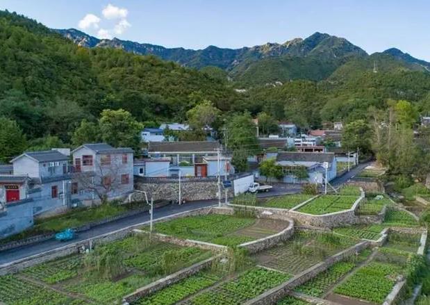 ���������ġ�ú�ĵ硱2017����4��